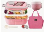 2 Layers All-In-One Large Bento Box Leak-Proof